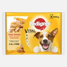 Pedigree 400GR Köpek Yaş Mama 4X100GR (6'li Paket)