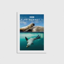 Domirus Blue Planet 2 Dizi Posteri Poster Çerçevesiz Duvar Dekorasyonu