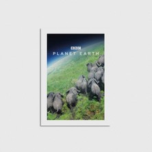 Domirus Planet Earth Dizi Posteri Poster Çerçevesiz Duvar Dekorasyonu