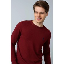 U.S. Polo Assn. Erkek Kazak G081GL0TK.000.652071
