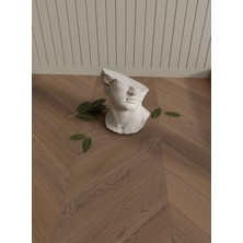 Bella Floor Roma Chevron Oak Mocha Laminat Parke - Floor BFC5010 1 Paket (1.49 M²)