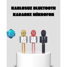 Mey Ithalat® Taşınabilir Karaoke Mikrofon – Bluetooth, USB ve Aux Girişli