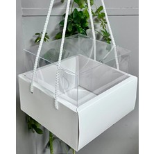 Ege Concept Life 18X18X18 Ipli Asetatlı Pasta Kutusu