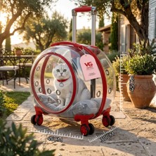 Vigi Store VG Premium XL Çekçekli Kedi Taşıma Valizi | Şeffaf Astronot Kedi & Küçük Köpek Taşıma Çantası Tekerlekli