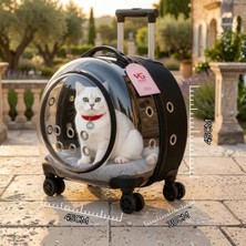 Vigi Store VG Premium XL Çekçekli Kedi Taşıma Valizi | Şeffaf Astronot Kedi & Küçük Köpek Taşıma Çantası Tekerlekli