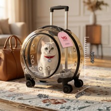 Vigi Store VG Premium XL Çekçekli Kedi Taşıma Valizi | Şeffaf Astronot Kedi & Küçük Köpek Taşıma Çantası Tekerlekli