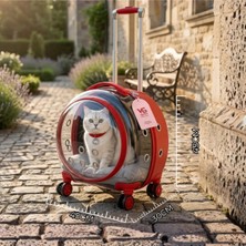 Vigi Store VG Premium XL Çekçekli Kedi Taşıma Valizi | Şeffaf Astronot Kedi & Küçük Köpek Taşıma Çantası Tekerlekli