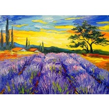 İğne İzi Hı Stone 5d Elmas Boncuk Taş Işleme Mozaik Goblen Kit 50X65CM SGK86955