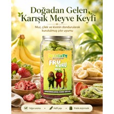 Kemal Ağa 1947 Delighty Mix Kuru Meyve Cipsi - Dondurularak Kurutulmuş Freeze Dried Çıtır Mix Meyve