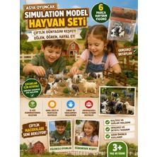 Asya Oyuncak Sımulatıon Model Pvc Hayvan Seti 0120-24