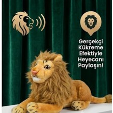 LRS Store 30 cm Sesli Peluş Aslan Oyuncak - Göbeğine Basınca Kükreyen, Yumuşak Dolgulu Taraftar Çocuk Hediye Peluş