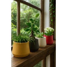 Empressco Seramik Saksı - 4'lü Sırlı Saksı- 10CMX13CM