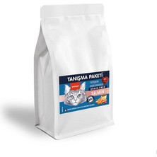Gimcat Wanpy Tahılsız Somonlu Yetişkin Kedi Maması 500 gr