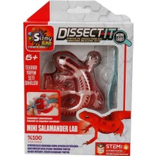 Renklime Dissect It Mini Labaratuvar 38083/38085-S- Stokta Olan Model Gönderilir