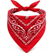Datatek Kırmızı Kovboy Fuları Çocuk Bandana Western Desenli Boyun Fuları