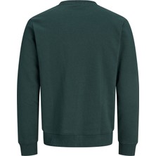 Jack & Jones Erkek Gögüs Baskili Bisiklet Yaka Sweatshirt - Aero