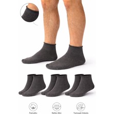 Ducks Socks Erkek Pamuk Dikişsiz Lastiksiz Çorap 3'lü Paket Kısa Konç / Iz Bırakmaz / Sıkmayan Çorap