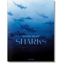Brf Store Sepetium Michael Muller. Sharks
