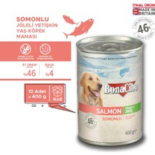 BonaCibo Jöleli Somonlu Yaş Köpek Maması, 400 gr x 12 Adet