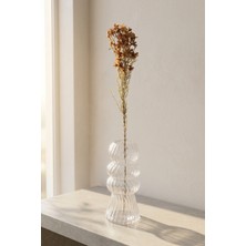 Acar Eterna Bloom Yapay Tek Dal Balmumu Çiçeği Kahverengi - 68 cm