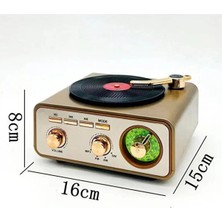Eco Port Metalik Nostaljik Tasarım Plak Çalar Görünümlü Radyolu Bluetooth Hoparlör Retro Müzik Plak