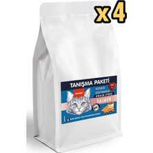 Wanpytahılsız Somonlu Yetişkin Kedi Maması 500 gr x 4 Adet