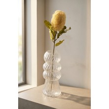 Acar Eterna Bloom Yapay Tek Dal Banksia Çiçeği Krem - 65 cm