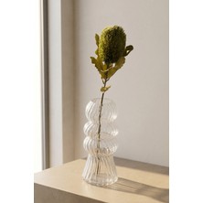 Acar Eterna Bloom Yapay Tek Dal Banksia Çiçeği Yeşil - 65 cm