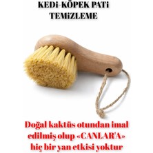 Madame Naturel %100 Doğal Ahşap Kedi-Köpek Pati Temizleme (Kaktüs Otu)(Kayın Ağacı)