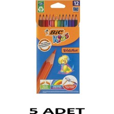 Bic 5 Adet Evolution Kuru Boya 12`li