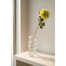 Acar Eterna Bloom Yapay Tek Dal Yıldız Çiçeği Açık Yeşil - 70 cm