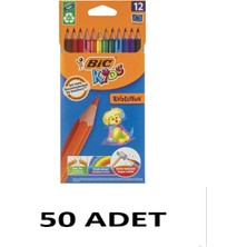 Bic 50 Adet Evolution Kuru Boya 12`li