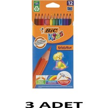 Bic 3 Adet Evolution Kuru Boya 12`li