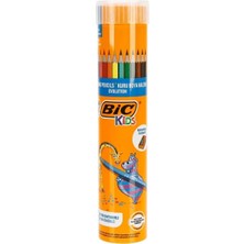Bic Evolution Kuru Boya Kalemi 12+1'li Metal Tüp