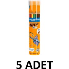 Bic 5 Adet Evolution Kuru Boya Kalemi 12+1'li Metal Tüp