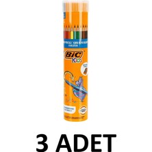 Bic 3 Adet Evolution Kuru Boya Kalemi 12+1'li Metal Tüp