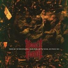 SoundBox Vomıt Forth - Seethıng Malevolence - 1 CD - Plak Değildir