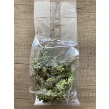 Altın Gıda 45 64 gr Taze Sumak Salkımı – Doğal ve Katkısız | Geleneksel Kullanım