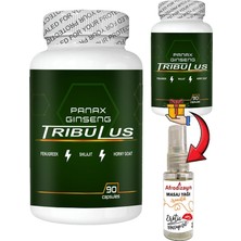 Bezos Panax 2 Kutu Panax Ginseng Tribuluslu Fenugreekli Shilajitli Hornygoatlı 90 Lı Caps + Afrodizayn Yağ