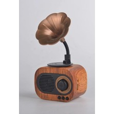 Renklime Bluetooth Bağlantılı Nostaljik Radyo ve Gramofon Tasarımlı Taşınabilir Hoparlör, Gri Renk Seçeneği