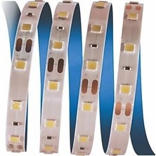 Pazarcan 5 Metre Cata Ct 4481 Iç Mekan 12V 10 Çipli Şerit LED 3200K Günışığı