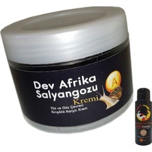 Bezos Giant Anti-Aging Kasutra:28 Dev Afrikasalyangozu 100ML Kremi + L.kamasutra Analrenk Ton Kremi Bay Bayan 60 ml