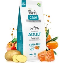Bezos Skin Coat Somonlu Tahılsız Yetişkin Köpek Maması 12 kg