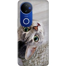 Senada Vivo V50 5g (V2427) Kılıf Desenli Baskılı Tpu Rubber Kapak Silikon Evdeki Kedi