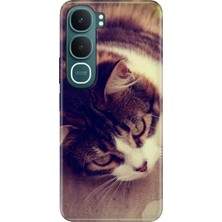 Nurdic Vivo Y31 5g (V2521) Uyumlu Kılıf 0.4mm Lazer Kesim Silikon Kapak Tekir Kedi