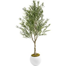 Nettenevime Yapay Zeytin Ağacı Doğal Kök Detaylı Büyük Dolgun Model Beyaz Plastik Küre Saksıda 200CM Yapay Ağaç