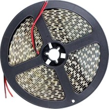 Uravas Store 5 Metre Cata Ct 4482 10 Çip Iç Mekan Şerit LED Kırmızı 12V