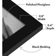 8X12 Picture Frame With Polished Plexiglass - Set Of 12 - Signature Collection - Picture Frames With Engineered Wood - Photo Frame For Tabletop And Wall Display - Black