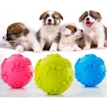 Uravas Store Köpek Isırma Topu Pati Desenli 1291