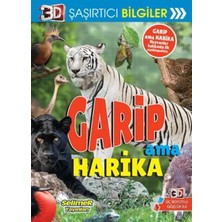 Uravas Store 3D Şaşırtıcı Biiler - Garip Ama Harika
